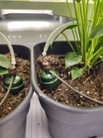 Growbox Komplettset Fridge Grow 2.0