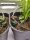 Growbox Komplettset Fridge Grow 2.0