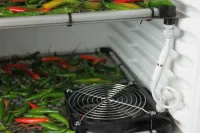 Trocknungsbox Fridge Grow 2.0