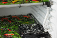 Trocknungsbox & Growbox Komplettset Fridge Grow 2.0 All-in-One
