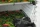 Trocknungsbox & Growbox Komplettset Fridge Grow 2.0 All-in-One