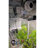 CO2 Bundle – Geregelte CO2 Düngung für dein Growzelt + CO2 Ventil