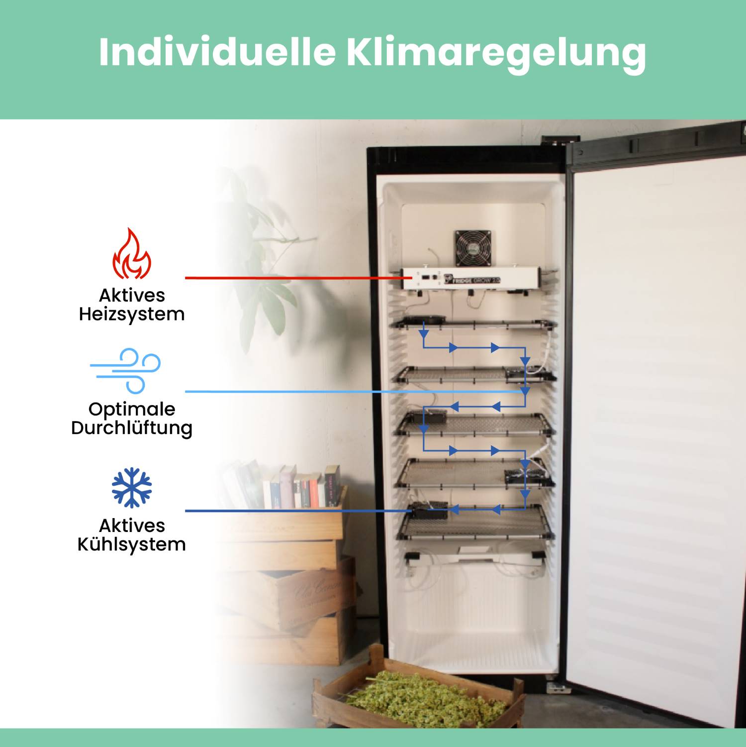 Trocknungsbox Fridge Dry Automatisch & luftdicht geschlossen