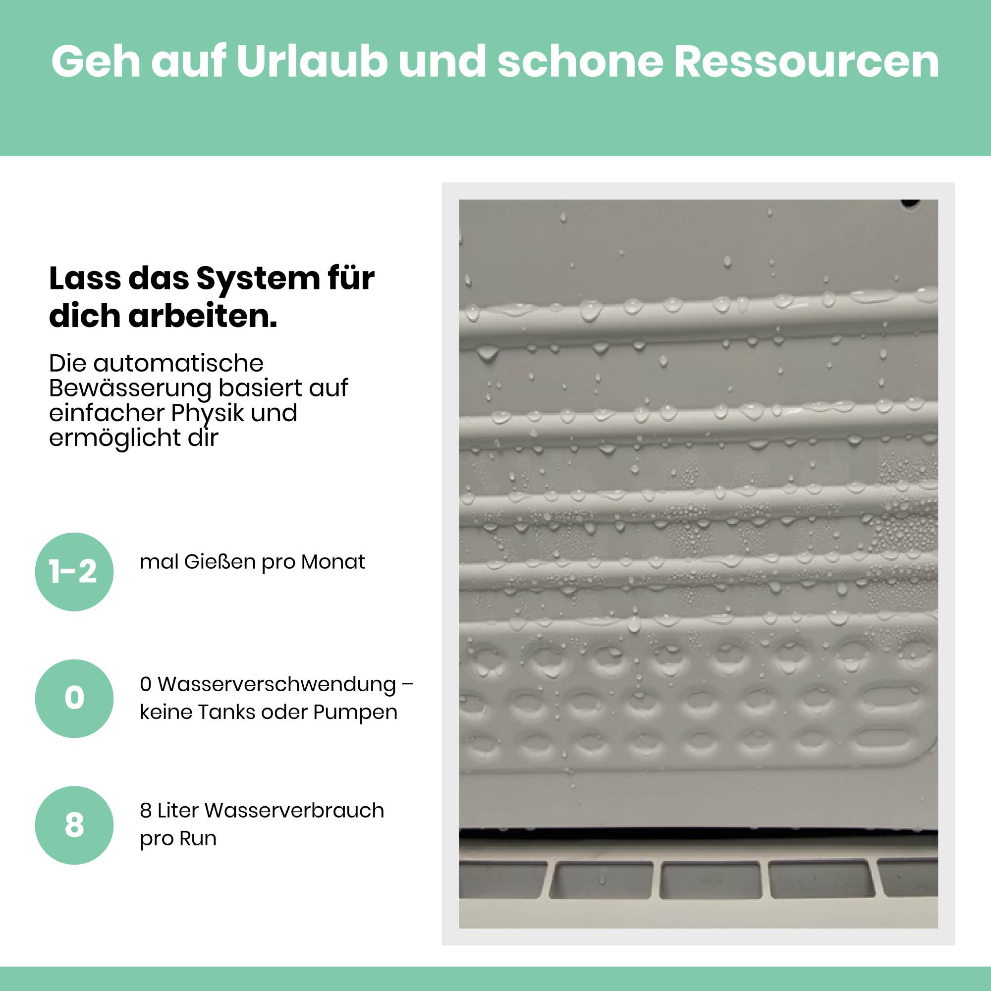 Trocknungsbox Fridge Dry Hohe Hygiene - Top Qualität